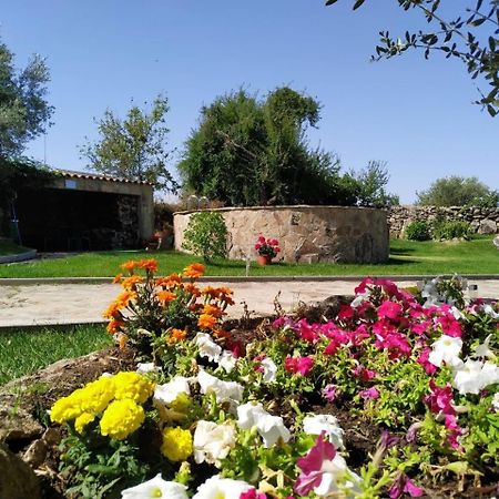 El Lagar Del Abuelo En Los Arribes Del Duero, Badilla, Самора Экстерьер фото